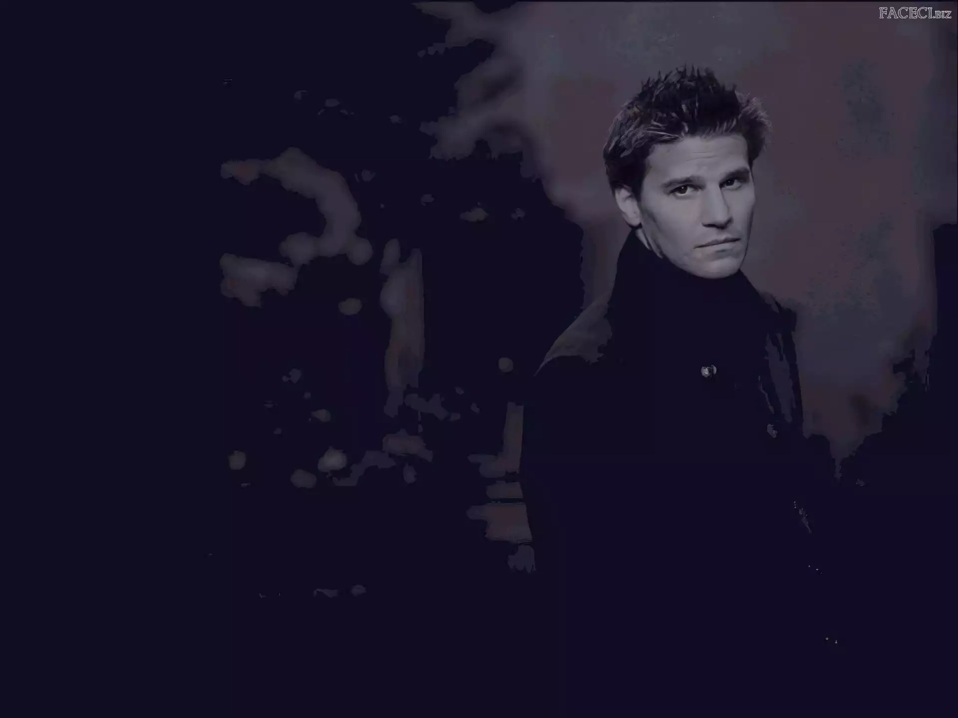 jasne włosy, David Boreanaz, ciemny strój